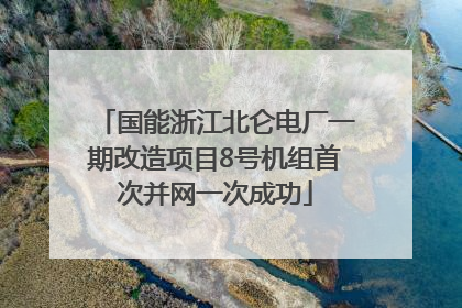 国能浙江北仑电厂一期改造项目8号机组首次并网一次成功