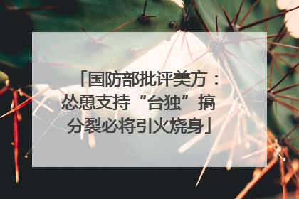 国防部批评美方：怂恿支持“台独”搞分裂必将引火烧身