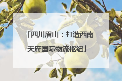 四川眉山：打造西南天府国际物流枢纽