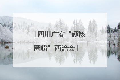 四川广安“硬核圈粉”西洽会