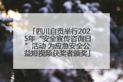 四川自贡举行2025年“安全宣传咨询日”活动 为应急安全公益短视频获奖者颁奖