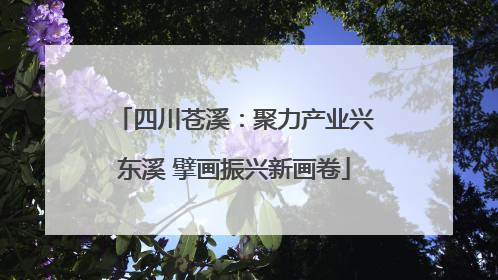 四川苍溪：聚力产业兴东溪 擘画振兴新画卷