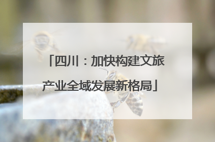 四川：加快构建文旅产业全域发展新格局