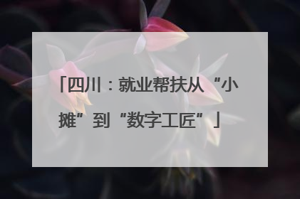 四川：就业帮扶从“小摊”到“数字工匠”