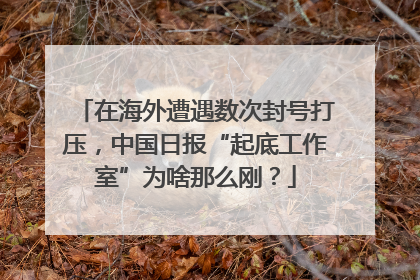 在海外遭遇数次封号打压，中国日报“起底工作室”为啥那么刚？