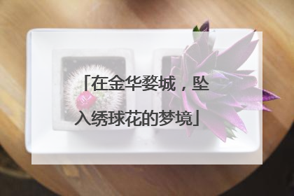 在金华婺城，坠入绣球花的梦境