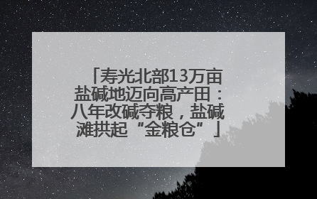 寿光北部13万亩盐碱地迈向高产田：八年改碱夺粮，盐碱滩拱起“金粮仓”