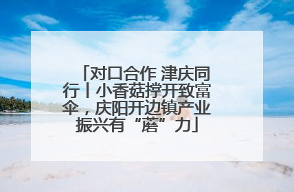 对口合作 津庆同行丨小香菇撑开致富伞，庆阳开边镇产业振兴有“蘑”力