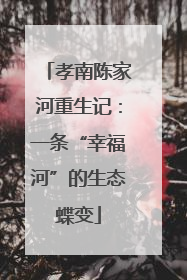 孝南陈家河重生记：一条“幸福河”的生态蝶变