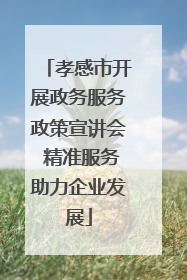 孝感市开展政务服务政策宣讲会 精准服务助力企业发展