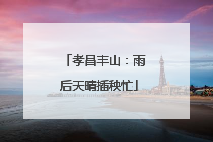 孝昌丰山：雨后天晴插秧忙