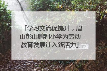 学习交流促提升，眉山彭山鹏利小学为劳动教育发展注入新活力