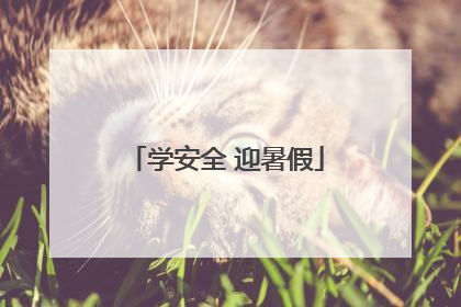 学安全 迎暑假