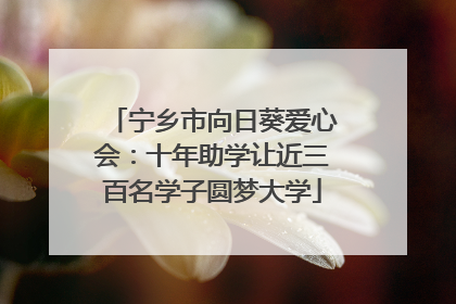 宁乡市向日葵爱心会：十年助学让近三百名学子圆梦大学