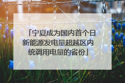 宁夏成为国内首个日新能源发电量超越区内统调用电量的省份