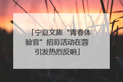 宁夏文旅“青春体验官”招募活动在蓉引发热烈反响