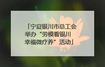 宁夏银川市总工会举办“劳模看银川 幸福微疗养”活动