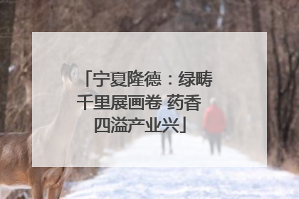 宁夏隆德：绿畴千里展画卷 药香四溢产业兴