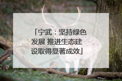 宁武：坚持绿色发展 推进生态建设取得显著成效