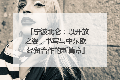 宁波北仑：以开放之姿，书写与中东欧经贸合作的新篇章