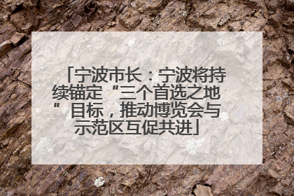 宁波市长：宁波将持续锚定“三个首选之地”目标，推动博览会与示范区互促共进