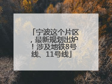 宁波这个片区，最新规划出炉！涉及地铁8号线、11号线