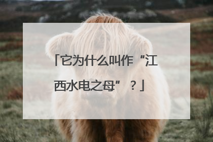 它为什么叫作“江西水电之母”？