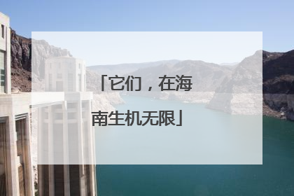 它们，在海南生机无限