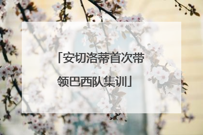 安切洛蒂首次带领巴西队集训