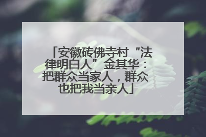 安徽砖佛寺村“法律明白人”金其华：把群众当家人，群众也把我当亲人