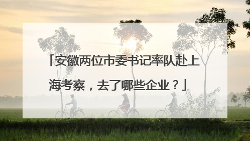 安徽两位市委书记率队赴上海考察，去了哪些企业？