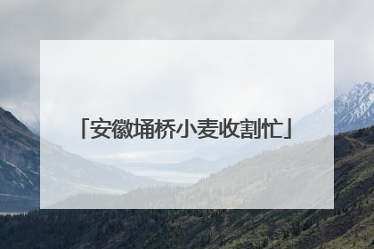 安徽埇桥小麦收割忙