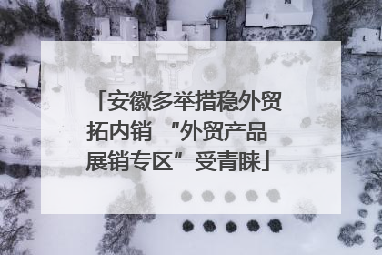 安徽多举措稳外贸拓内销 “外贸产品展销专区”受青睐