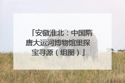 安徽淮北：中国隋唐大运河博物馆里探宝寻源（组图）