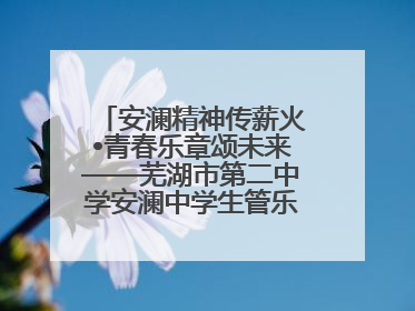安澜精神传薪火•青春乐章颂未来——芜湖市第二中学安澜中学生管乐团第十二届公益展演圆满举行