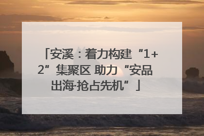 安溪：着力构建“1+2”集聚区 助力“安品出海·抢占先机”
