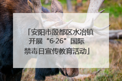 安阳市殷都区水冶镇开展“6·26”国际禁毒日宣传教育活动