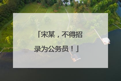 宋某，不得招录为公务员！