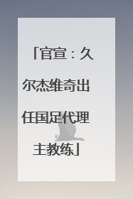 官宣：久尔杰维奇出任国足代理主教练