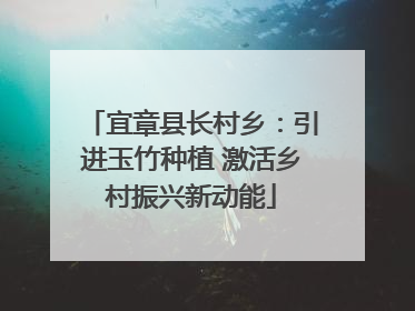 宜章县长村乡：引进玉竹种植 激活乡村振兴新动能
