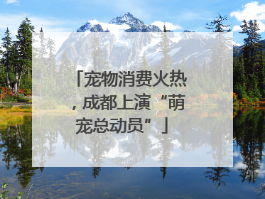 宠物消费火热，成都上演“萌宠总动员”