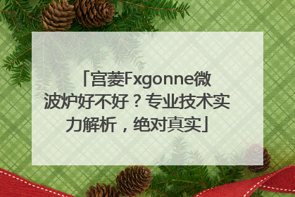 宫菱Fxgonne微波炉好不好？专业技术实力解析，绝对真实
