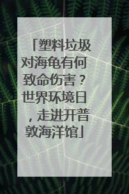塑料垃圾对海龟有何致命伤害?世界环境日,走进开普敦海洋馆