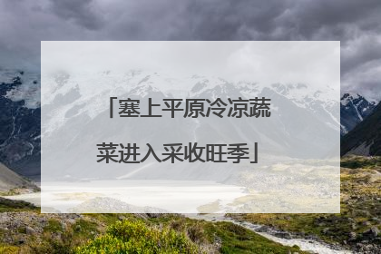 塞上平原冷凉蔬菜进入采收旺季