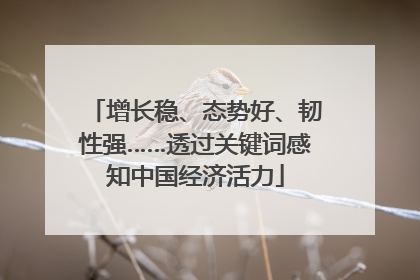 增长稳、态势好、韧性强……透过关键词感知中国经济活力