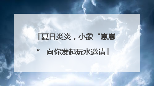 夏日炎炎，小象“崽崽” 向你发起玩水邀请