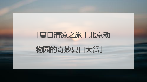 夏日清凉之旅丨北京动物园的奇妙夏日大赏