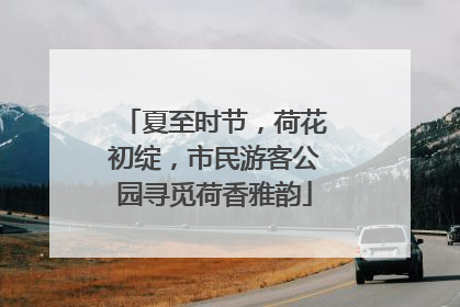 夏至时节，荷花初绽，市民游客公园寻觅荷香雅韵