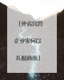 外省民营企业家何以扎根商南