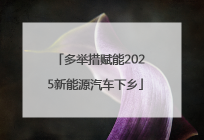 多举措赋能2025新能源汽车下乡